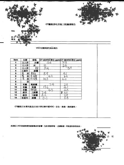 CT 觸媒